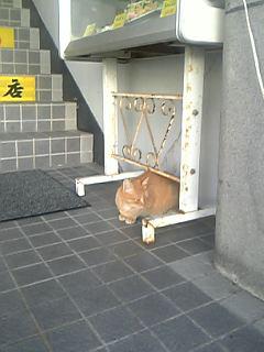 かくれんぼ