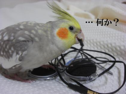 何か?