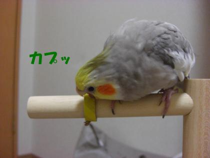 ガプッ