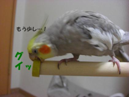 もう少し…