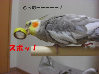 とったー!
