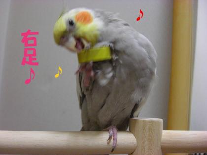 右足