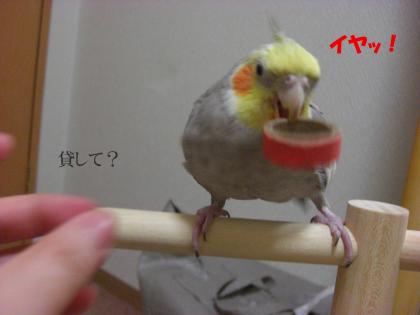 イヤッ!
