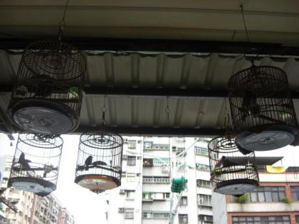 鳥籠1