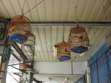 鳥籠2