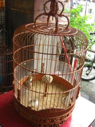 鳥籠4