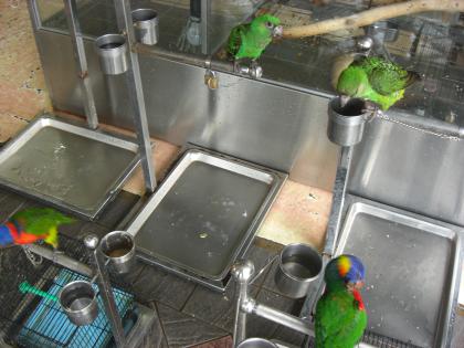 台湾鳥街30