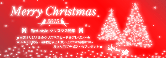 クリスマスプレゼント企画