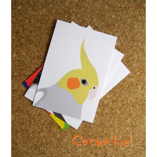 オカメインコのポストカード
