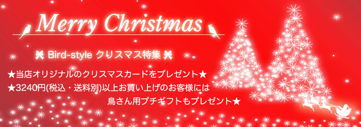 クリスマス特集