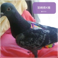 宮崎県K様のお写真