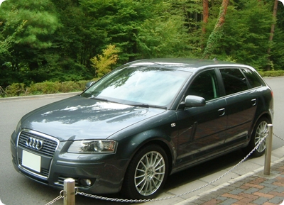 AUDI A3 3.2 Quattro Bilstein + Eibach Set