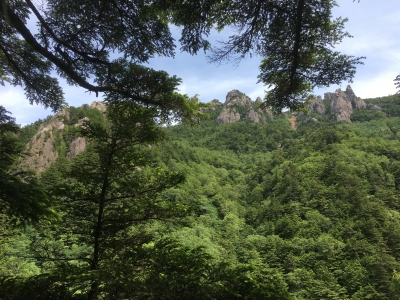 小川山 瑞牆山 分岐