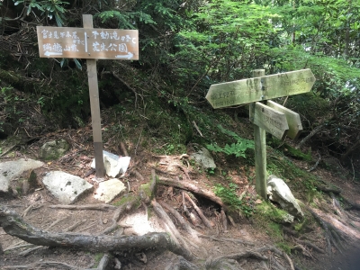 瑞牆山 山頂ふもと 分岐