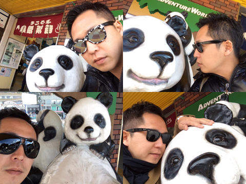 panda