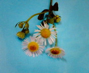 200807091454000.jpg