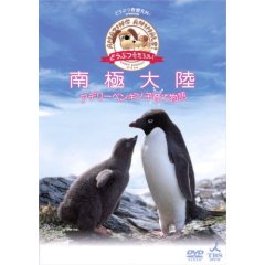 南極大陸