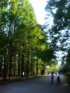 水元公園2