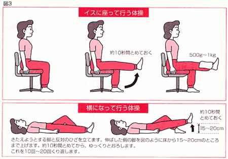 損傷 半月 リハビリ 板