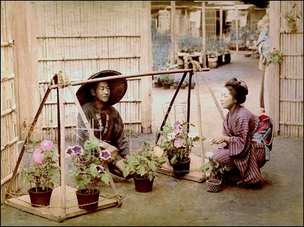 江戸時代の花屋7