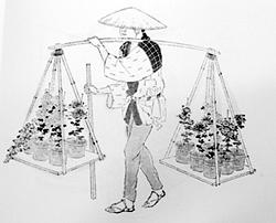 江戸時代の花屋8