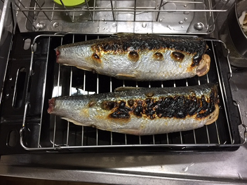ニシン8