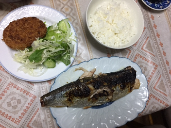 ニシン11