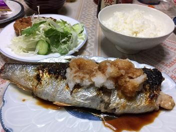 ニシン13