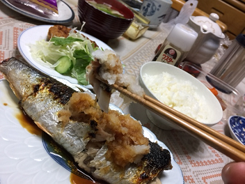 ニシン14