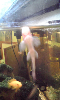 100426_2240~02.jpg