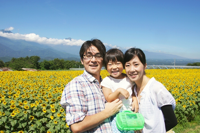 ひまわり2012a3