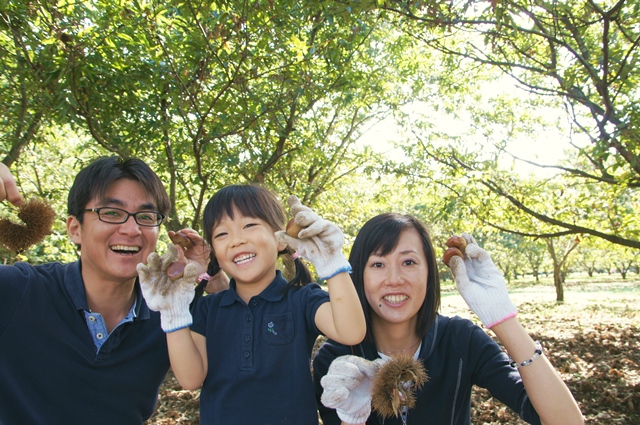 栗拾い2012a7