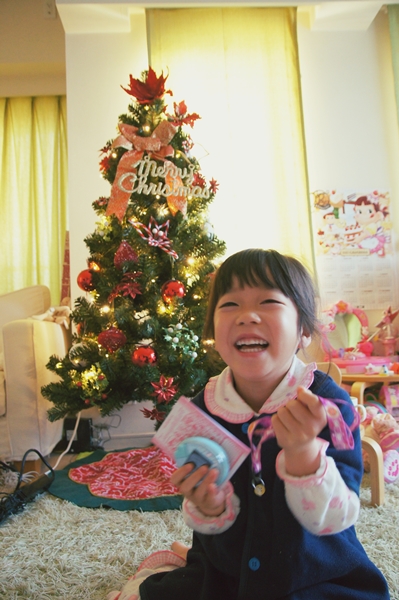 Xmas2012c1