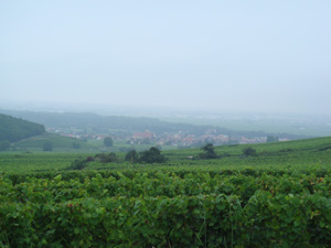 alsace28