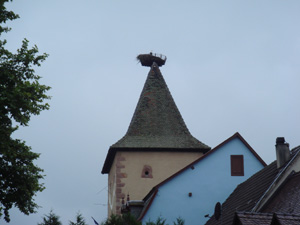 alsace30