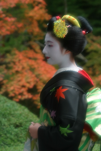 kyoto9