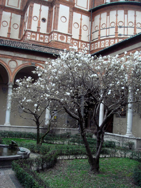 milan22