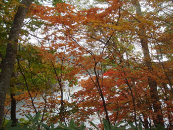 marunuma4