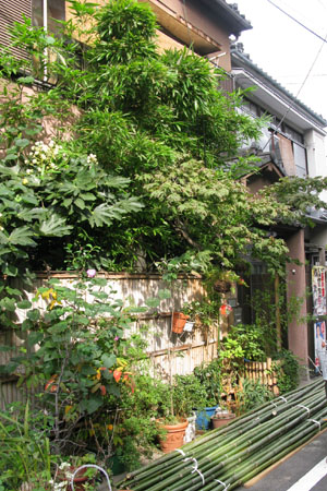 ozaki3