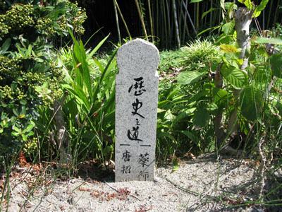 nara20