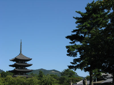 nara40