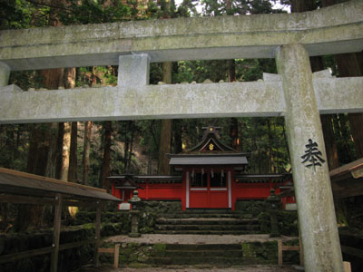ryu1