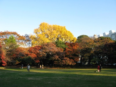 garden