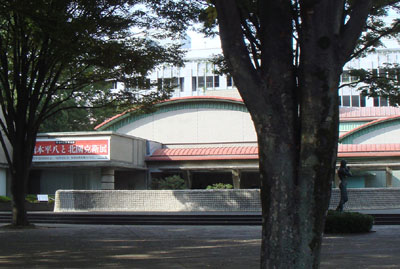 seta