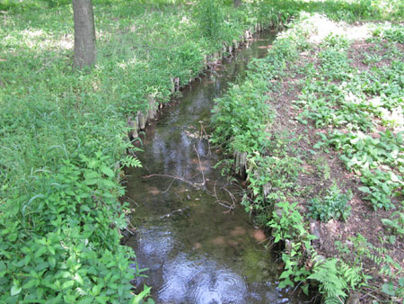 sizen1