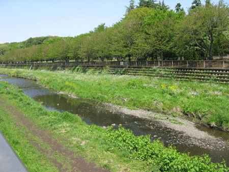 nogawa8