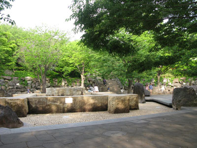 shibu1