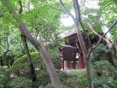 soba4