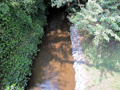 tamagawa6