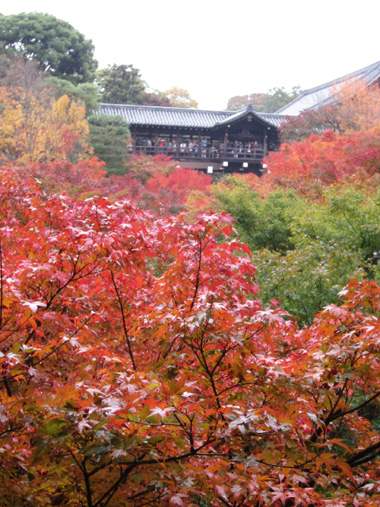 toufuku